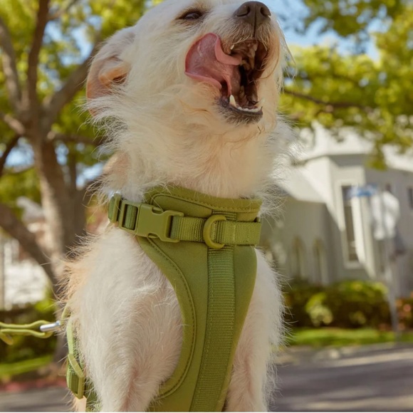 Wild One Dog Harness - Moss Green | Limited Edition | Size S | NWT - Picture 5 of 8